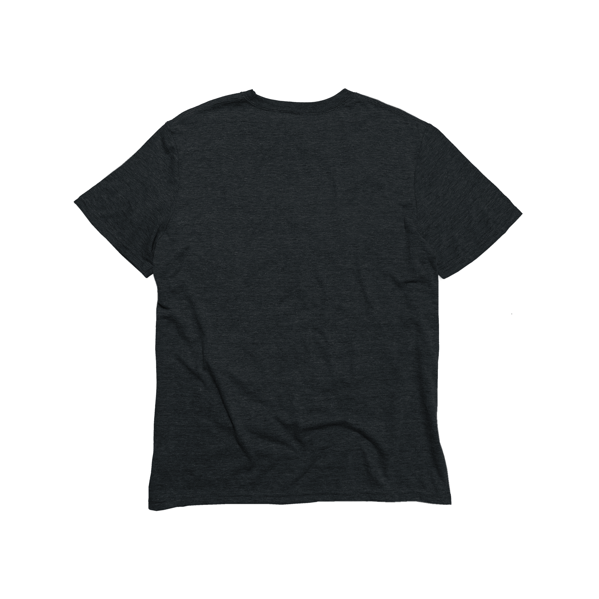 Back Flat Lay of GOEX Unisex and Men's Eco Triblend Tee in Charcoal