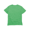 Back Flat Lay of GOEX Unisex and Men's Eco Triblend Tee in Grass