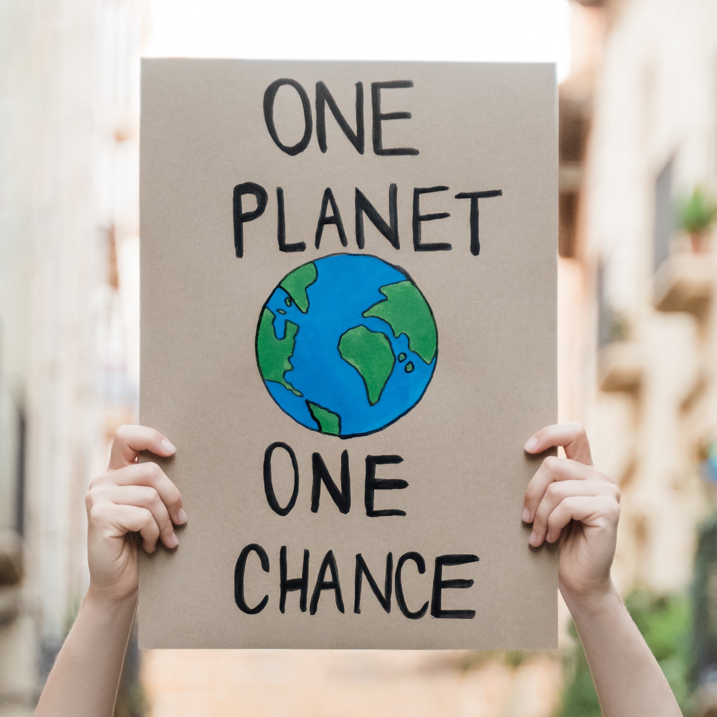 Cardboard sign with globe and "One Planet, One Chance" text
