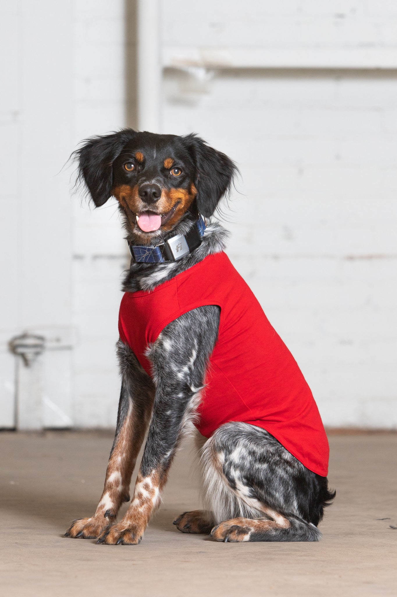 Dog Model wearing GOEX Cotton Dog Tank in Red
