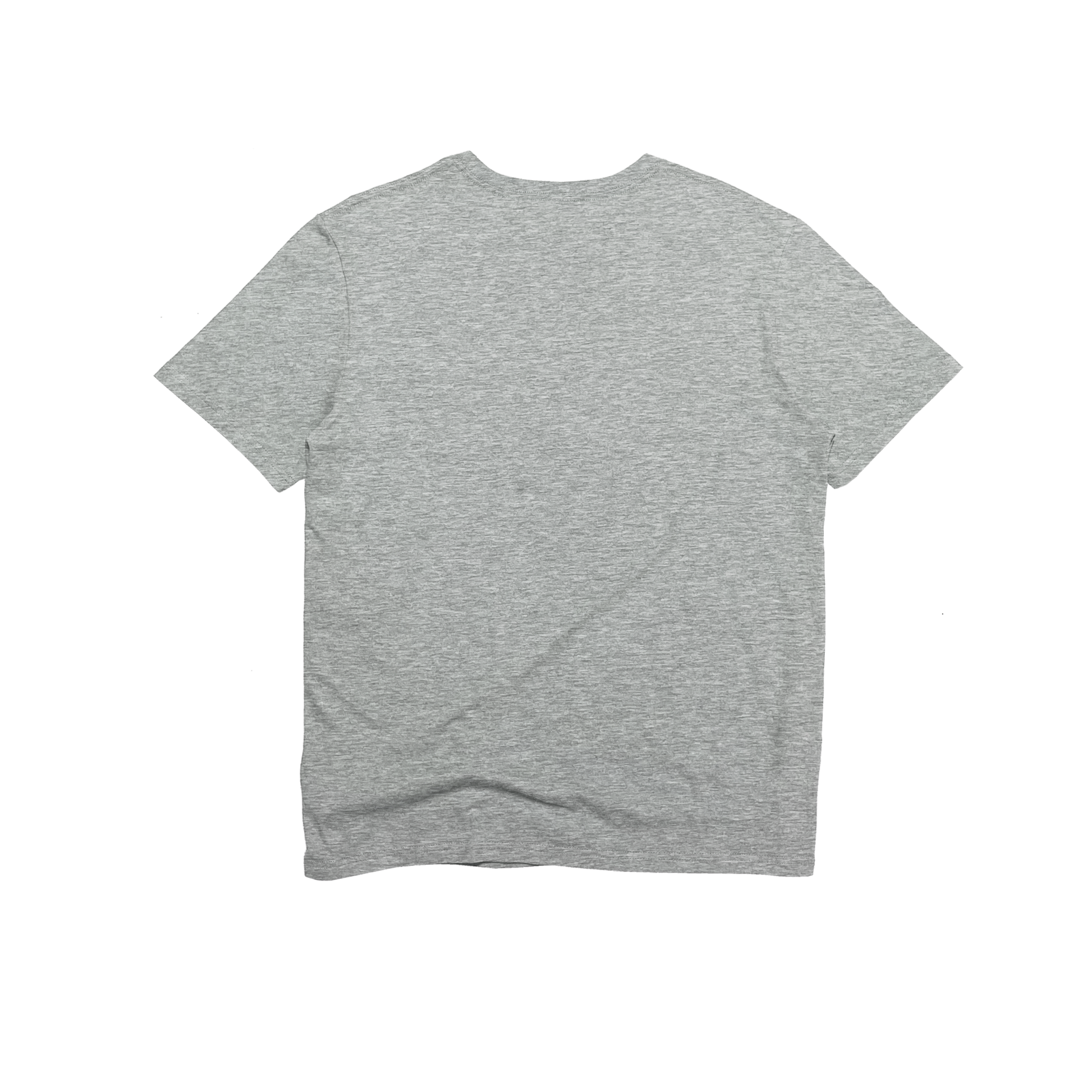 Back Flat Lay of GOEX Unisex and Men's Standard Cotton Tee in Oxford
