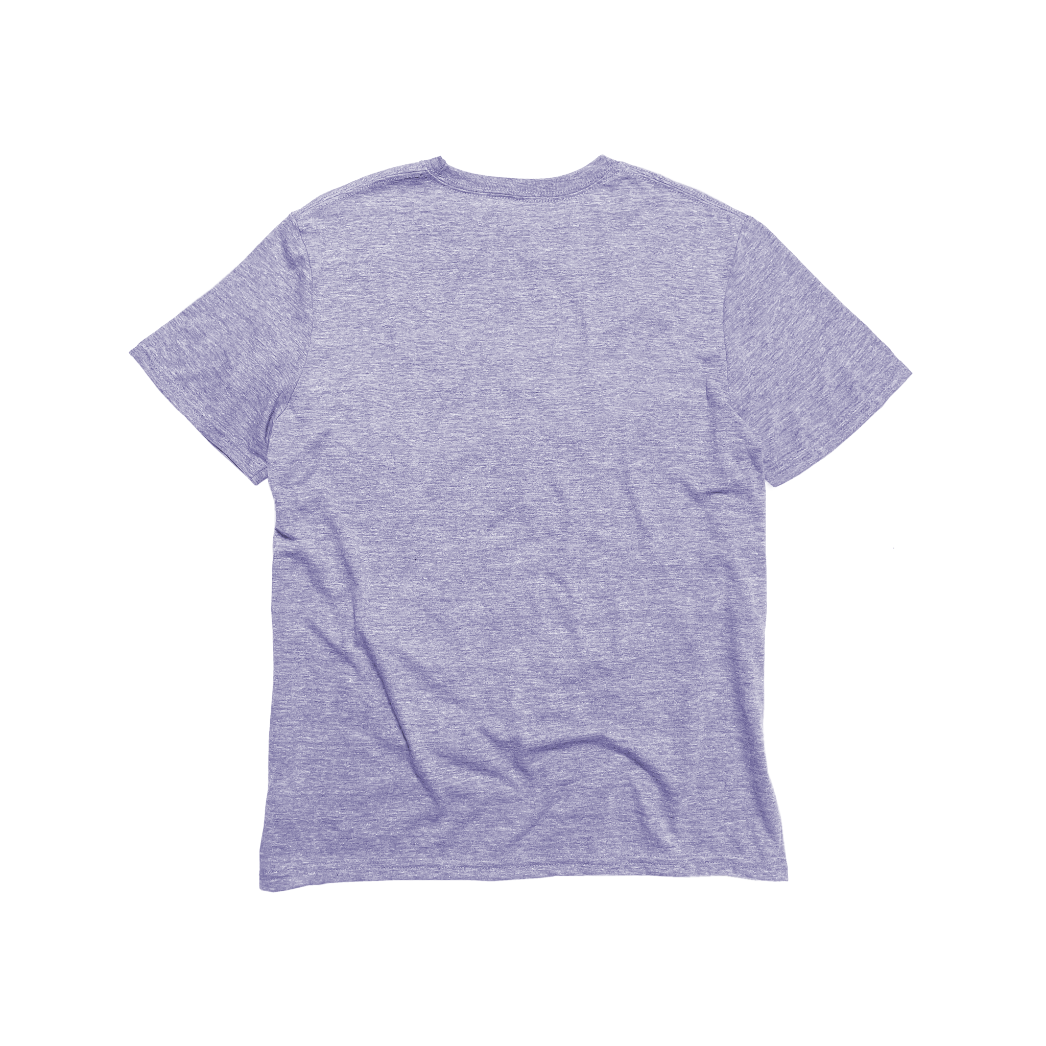 Back Flat Lay of GOEX Unisex and Men's Eco Triblend Tee in Lavender