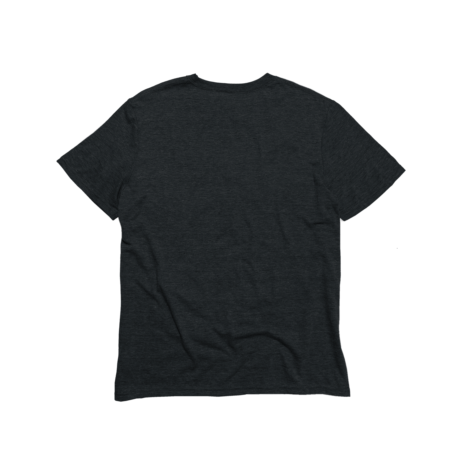 Back Flat Lay of GOEX Unisex and Men's Eco Triblend V Neck Tee in Charcoal