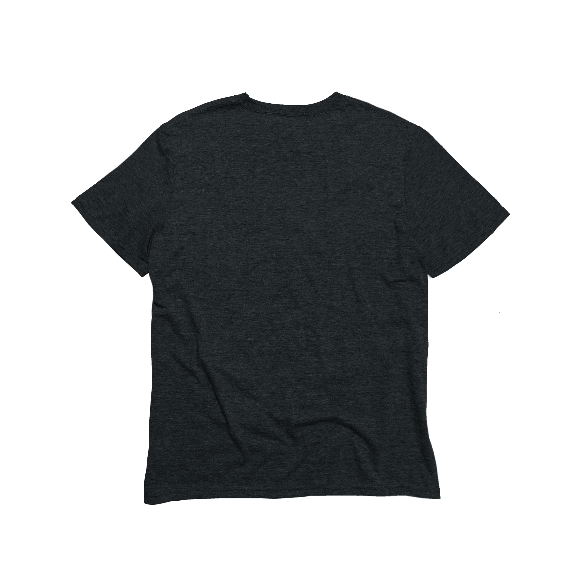 Back Flat Lay of GOEX Unisex and Men's Eco Triblend V Neck Tee in Charcoal